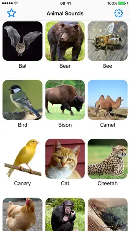 Game screenshot Animal Sounds Voice Effects mod apk