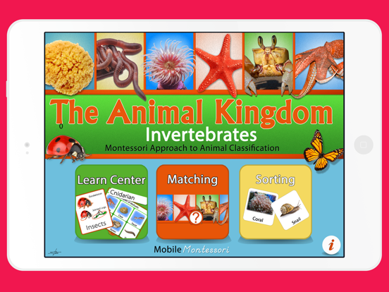Animal Kingdom (Invertebrates) iPad screenshot