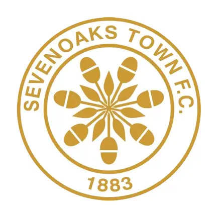 Sevenoaks Town F.C. 2022/23 Cheats