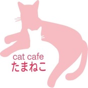 猫カフェたまねこ