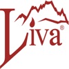 Liva Shop icon