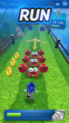 Game screenshot Sonic Dash Endless Runner Game apk