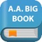 Icon AA Big Book e-Reader + Audio