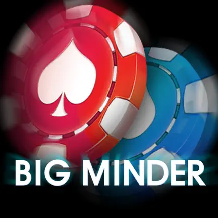 BIGMINDER Читы