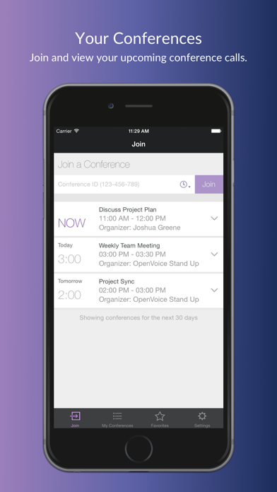 OpenVoice Audio Conferencing Screenshot
