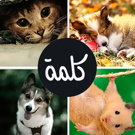 اربع صور كلمة واحدة Читы