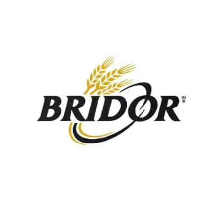Bridor - Wellness Cheats