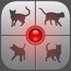 人猫語翻訳機 - iPadアプリ