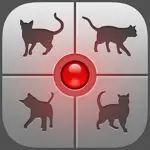 Human-to-Cat Translator App Positive Reviews