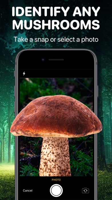 Mushroom Identifier App: Fungi Screenshot