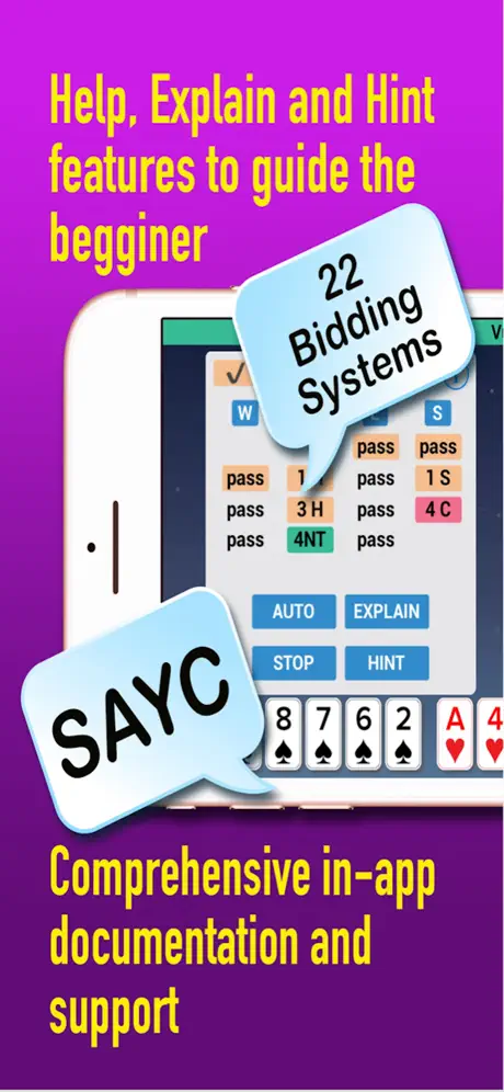 iBridgePlus