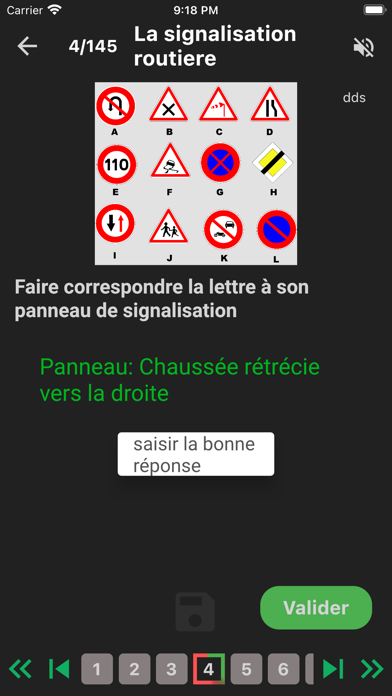 Driving In africa Screenshot