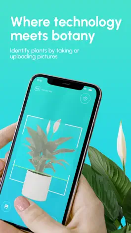 Game screenshot PlantoScan Plant Identifier apk