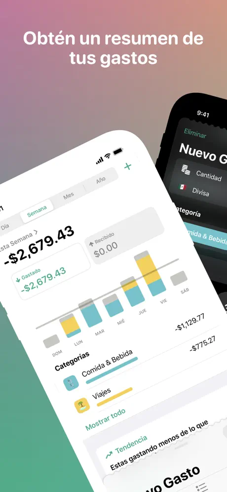Fin - Presupuesto y gastos