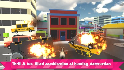 Donkey City Rampage Simulator Screenshot