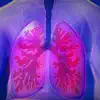 Respiratory System Anatomy App Positive Reviews