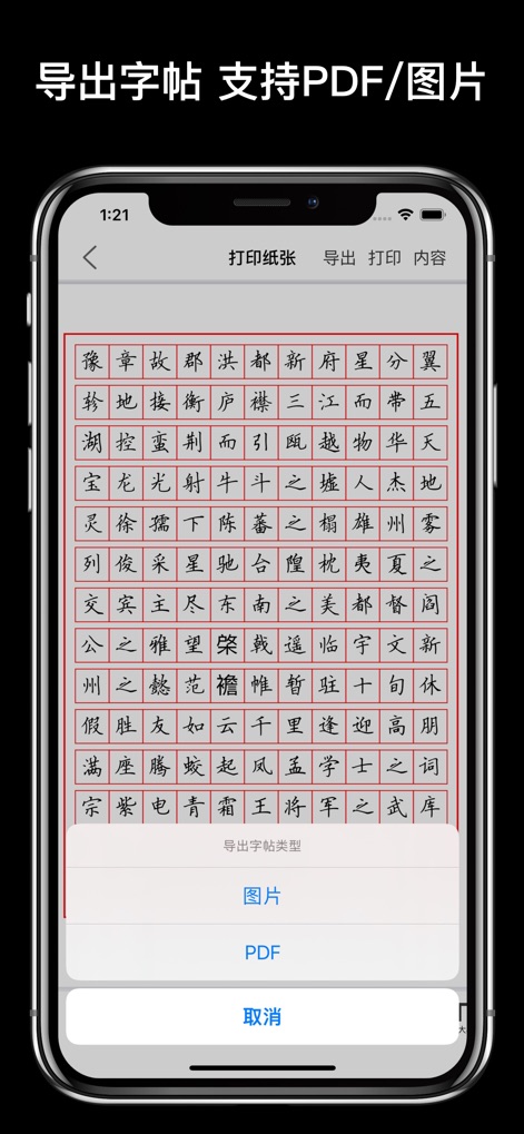 练字大师 - 硬笔书法练字帖 & 毛笔书写画画板 - The app allows users to easily export their generated copybooks, offering options to save them as high-quality '图片' (images) or print-ready 'PDF' files.
