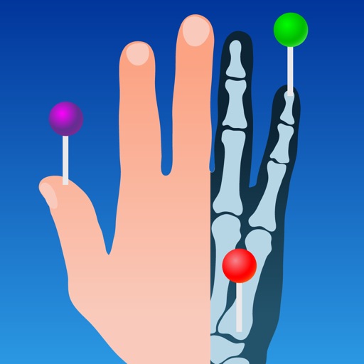 IMAIOS e-Anatomy iOS App