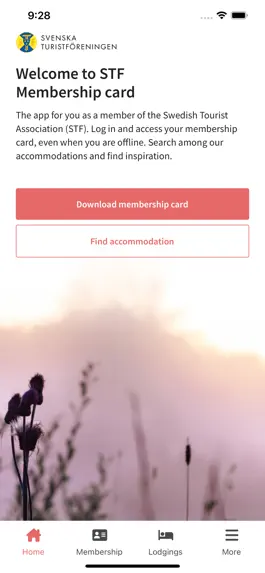 Game screenshot STF mod apk