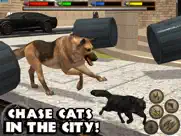 ultimate dog simulator ipad capturas de pantalla 4