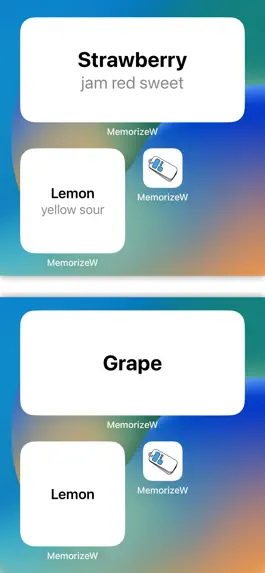Game screenshot MemorizeWidget learn in widget apk