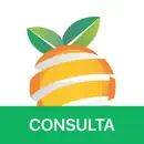 iCeasa Consulta