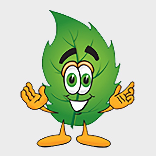 Bloomers Home and Garden