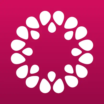 Corso Klooster Читы