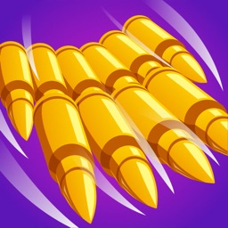 Bullet Sheet