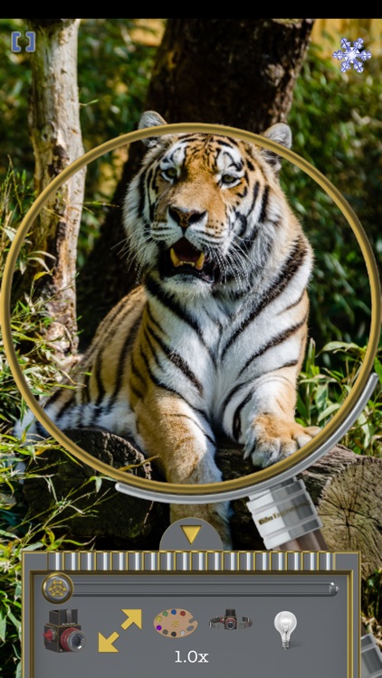 Magnifier (TiAu) LITE