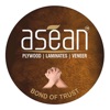 ASEAN HIGH FLYER SCHEME icon