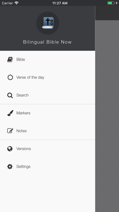 Bilingual Bible Now Screenshot