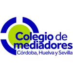 Colegio Mediadores de Seguros App Problems