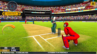 Real World Cricket Games 2023 Screenshot