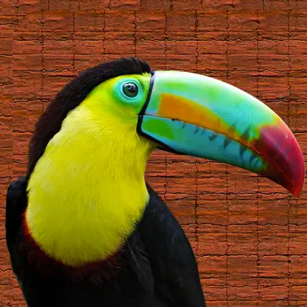 Birds And Animals Call Читы