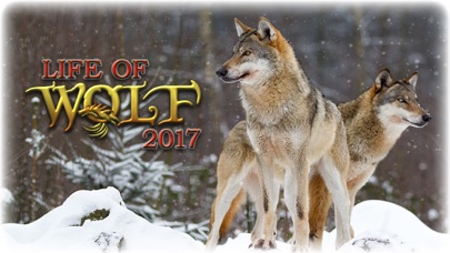 Life Of Wolf - Wild Life Sim Screenshot