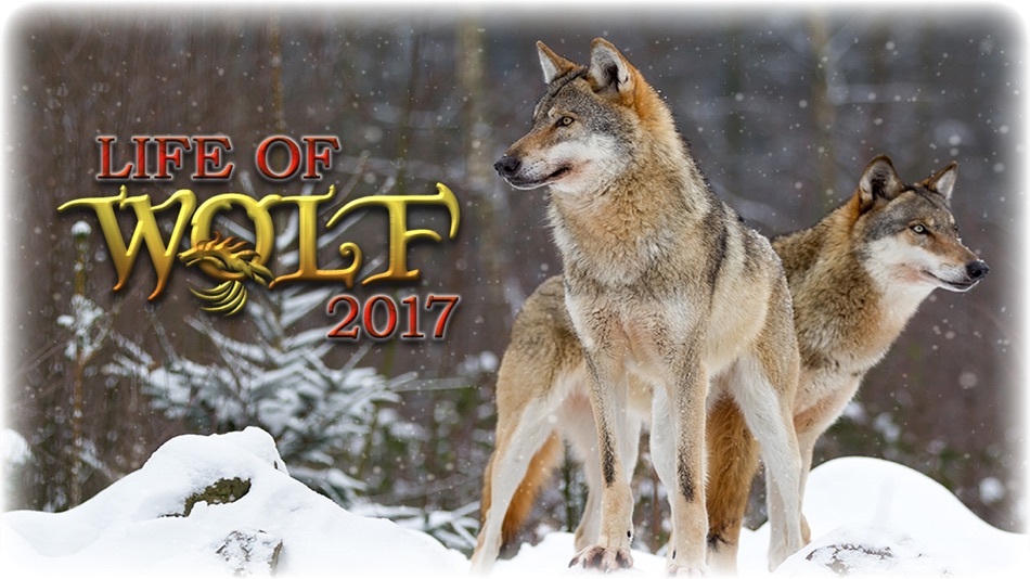 Life Of Wolf - Wild Life Sim - 2.2 - (iOS)