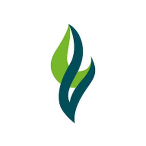 Gestión de Matrícula