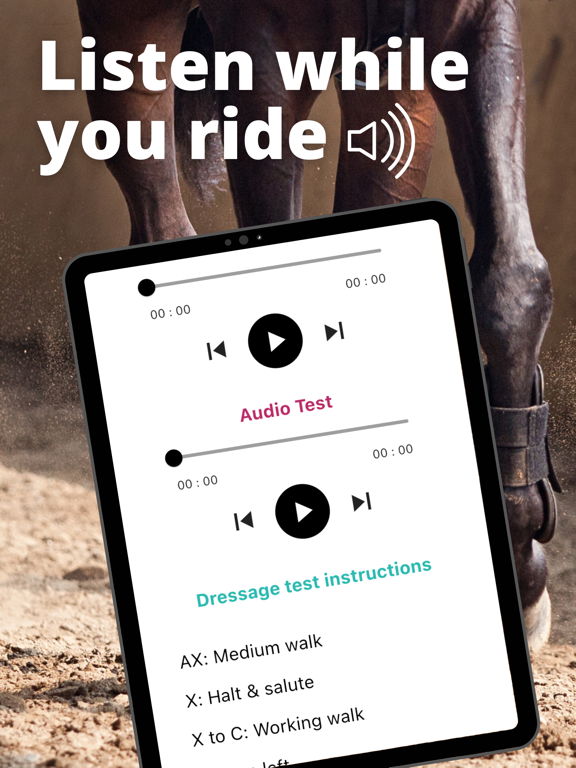 Screenshot #5 pour Dressage Horse Pro Memoriser