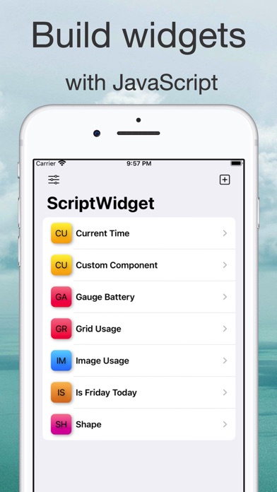 ScriptWidget Screenshot