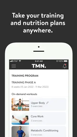Game screenshot TMN Online apk