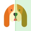 DoggyApp - Identify Dog Breeds icon