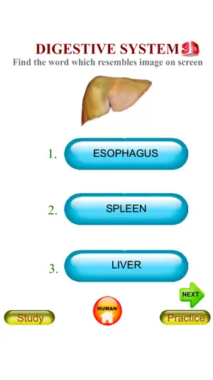ANATOMY 3D Pro screenshot 4