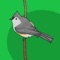 Word of the Bird's intuitive interface helps you find, tag, and interact with birds