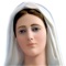 Rosary + Divine Mercy Chaplet