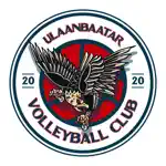 UB Volleyball App Support