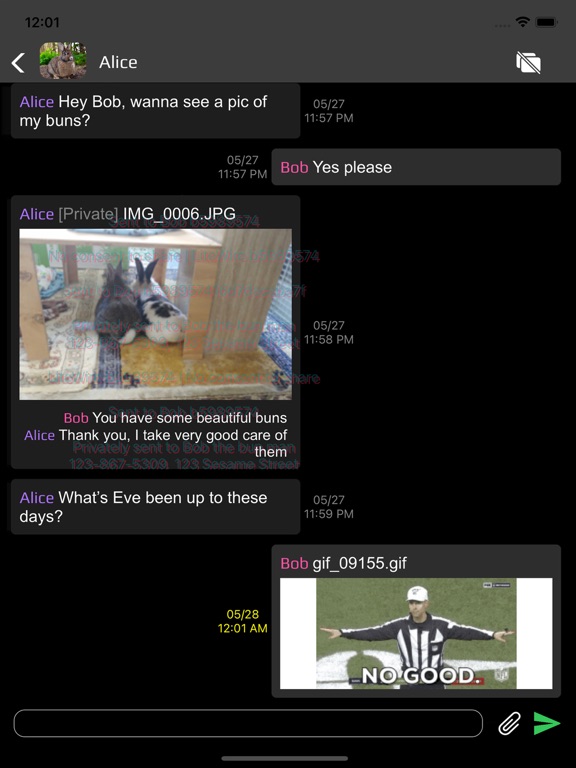 Screenshot #6 pour LiteWire Messaging