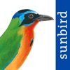 All Birds Trinidad and Tobago icon