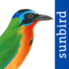 All Birds Trinidad and Tobago - Mullen & Pohland GbR