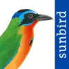 All Birds Trinidad and Tobago Positive Reviews, comments